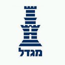 migdal3.gif